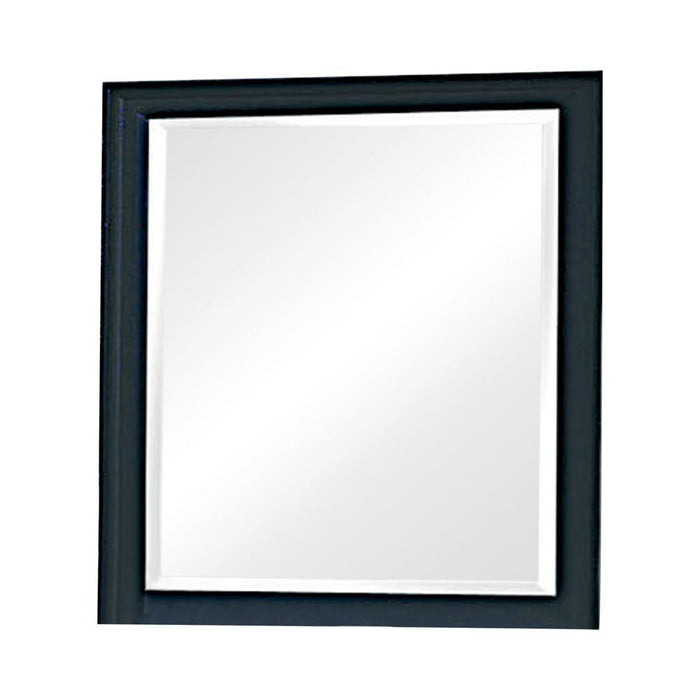 Sandy Beach Vertical Dresser Mirror Black