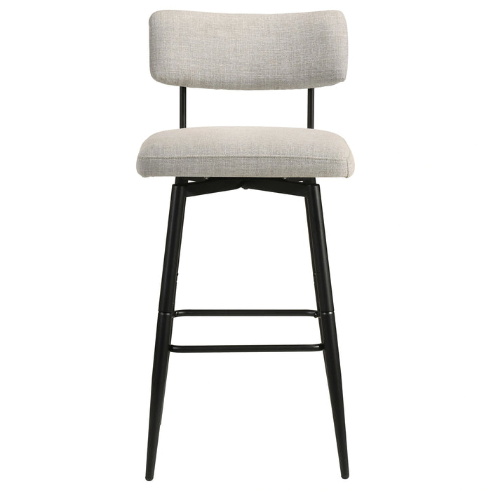 Levine Bar Stool of 2